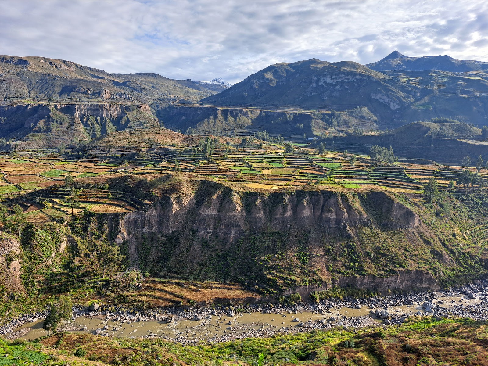 Cañón del Colca