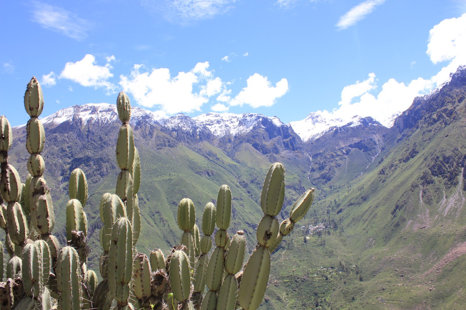 Cañón del Colca