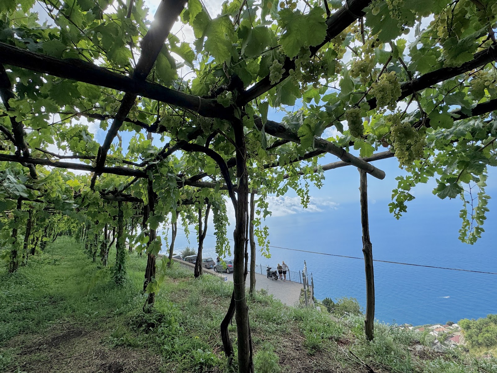 Cantine Marisa Cuomo (Furore Winery)