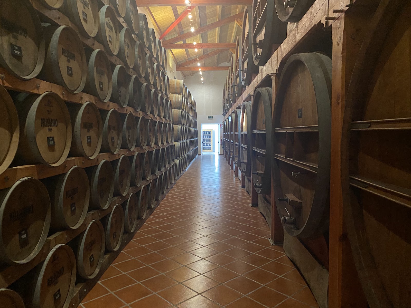 Cantine Pellegrino