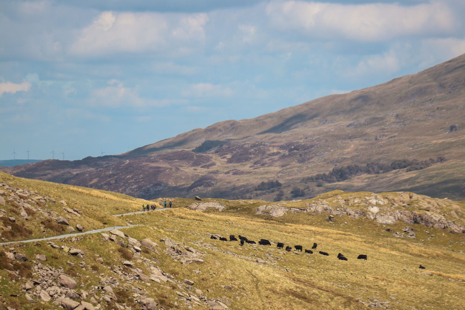 Capel Curig