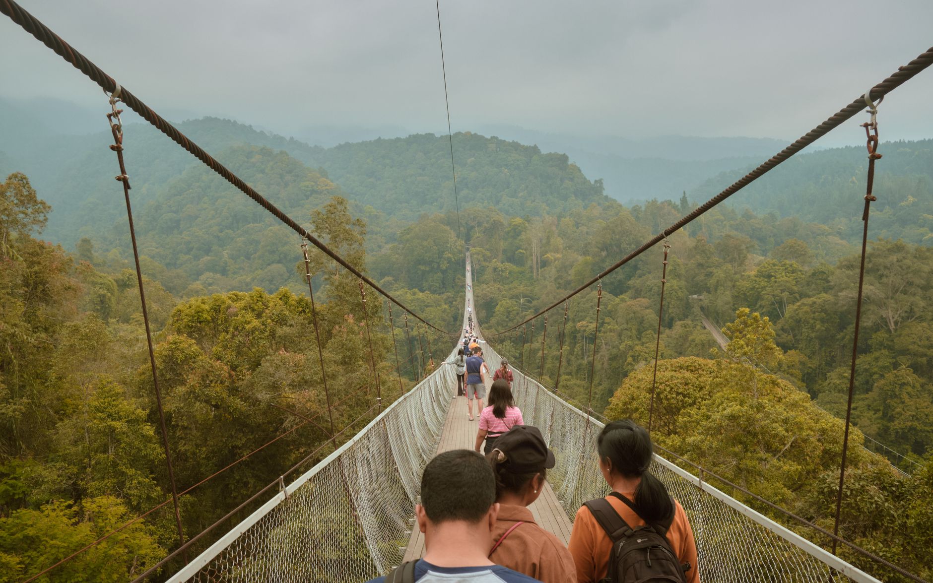 Cardamom Mountains