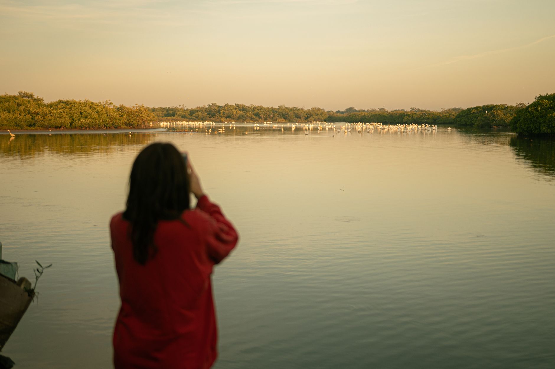 Caroni Bird Sanctuary
