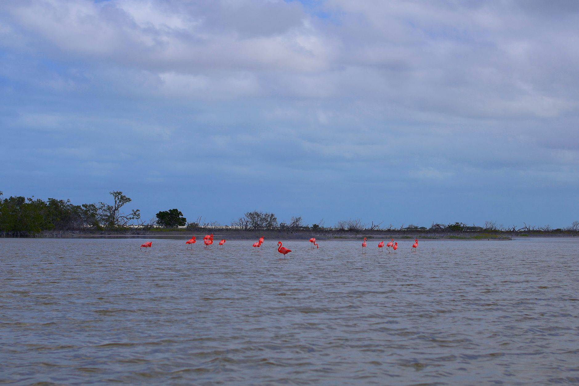 Caroni Bird Sanctuary