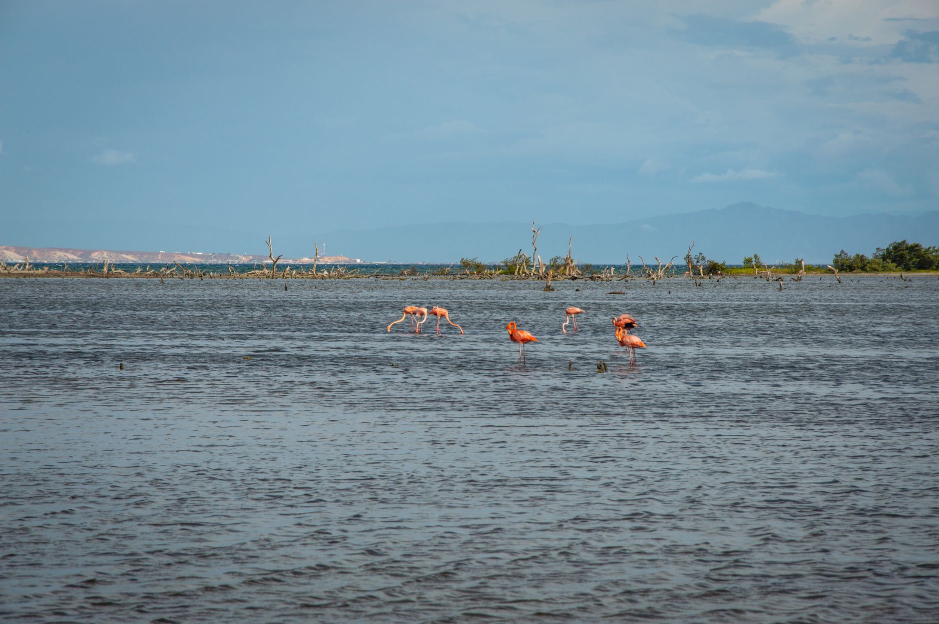 Caroni Bird Sanctuary