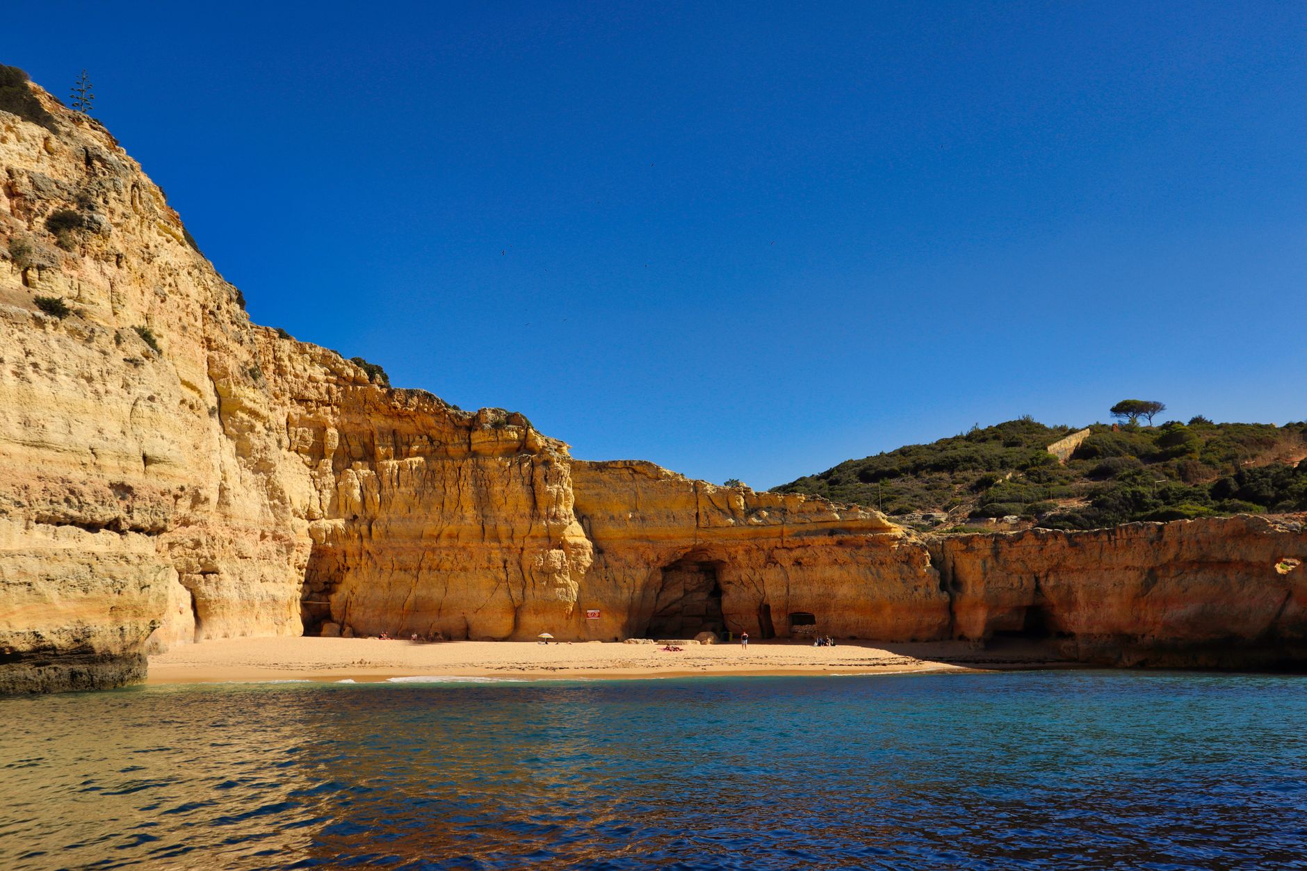 Carvoeiro