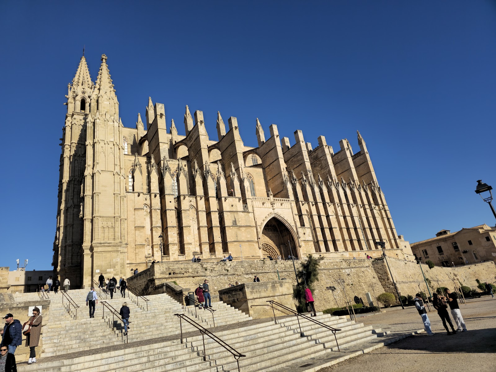 Catedral de Mallorca (La Seu)