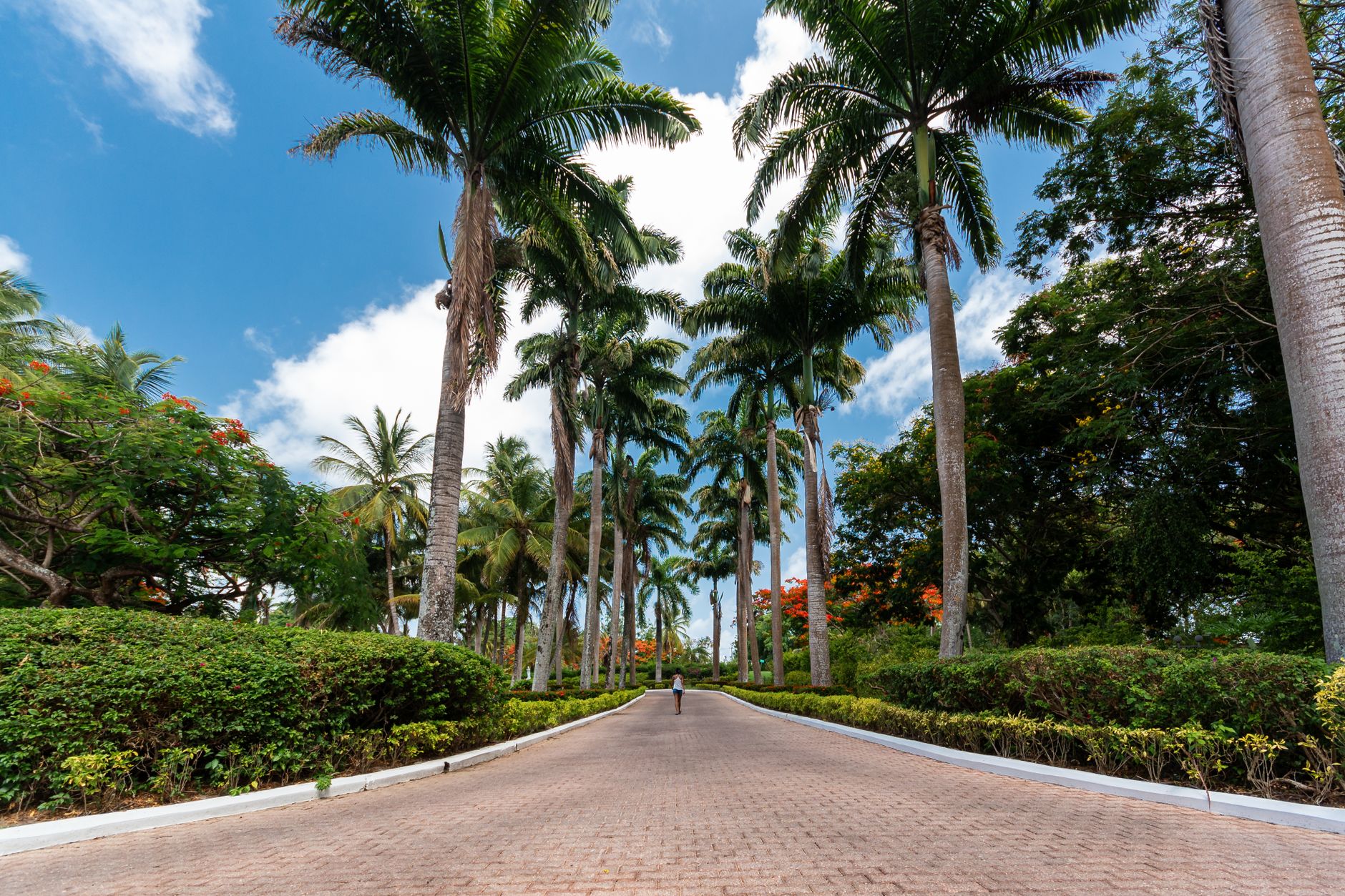 Cayo Coco
