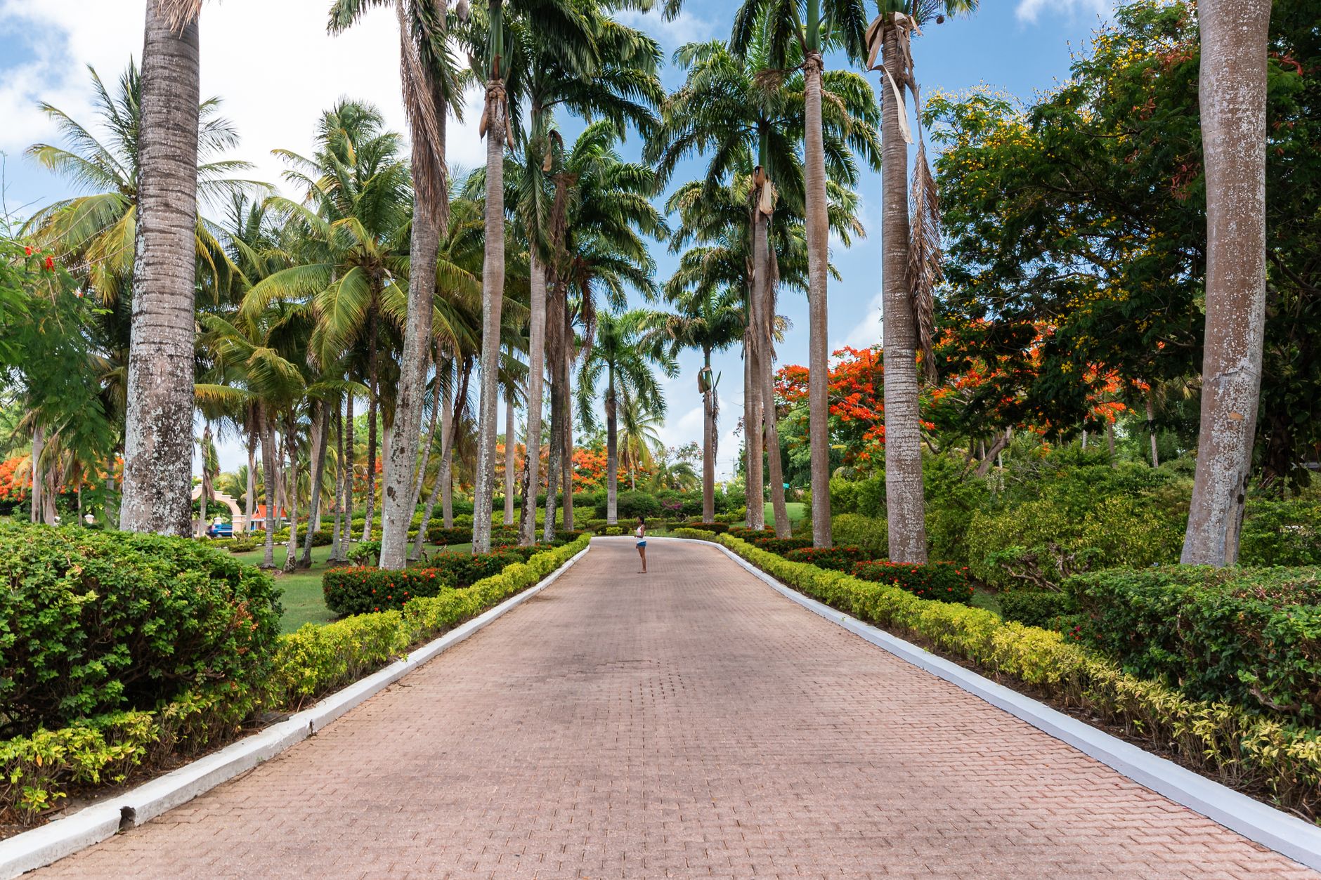Cayo Coco