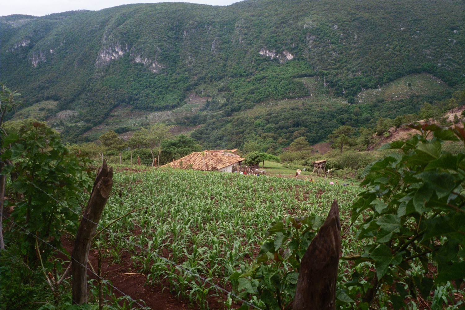Celaque National Park