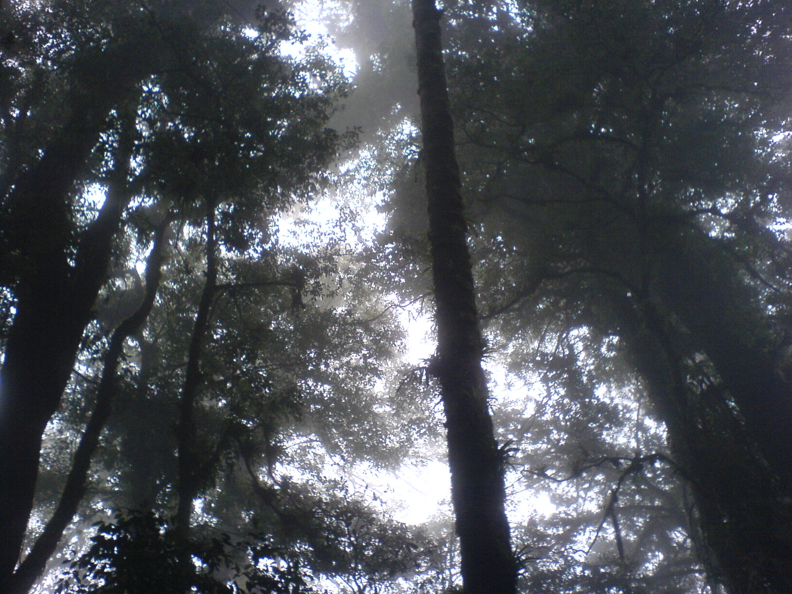 Celaque National Park