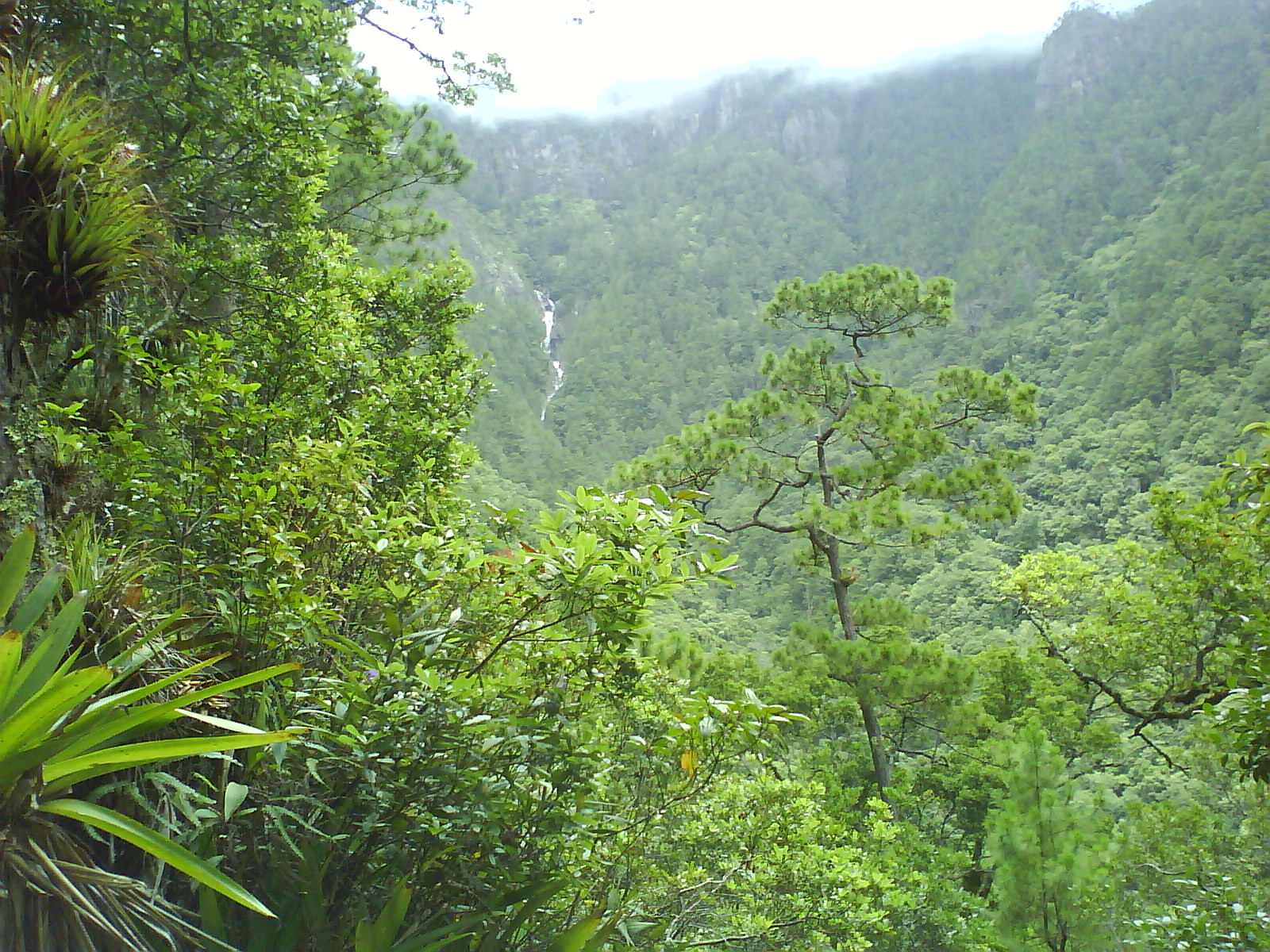 Celaque National Park
