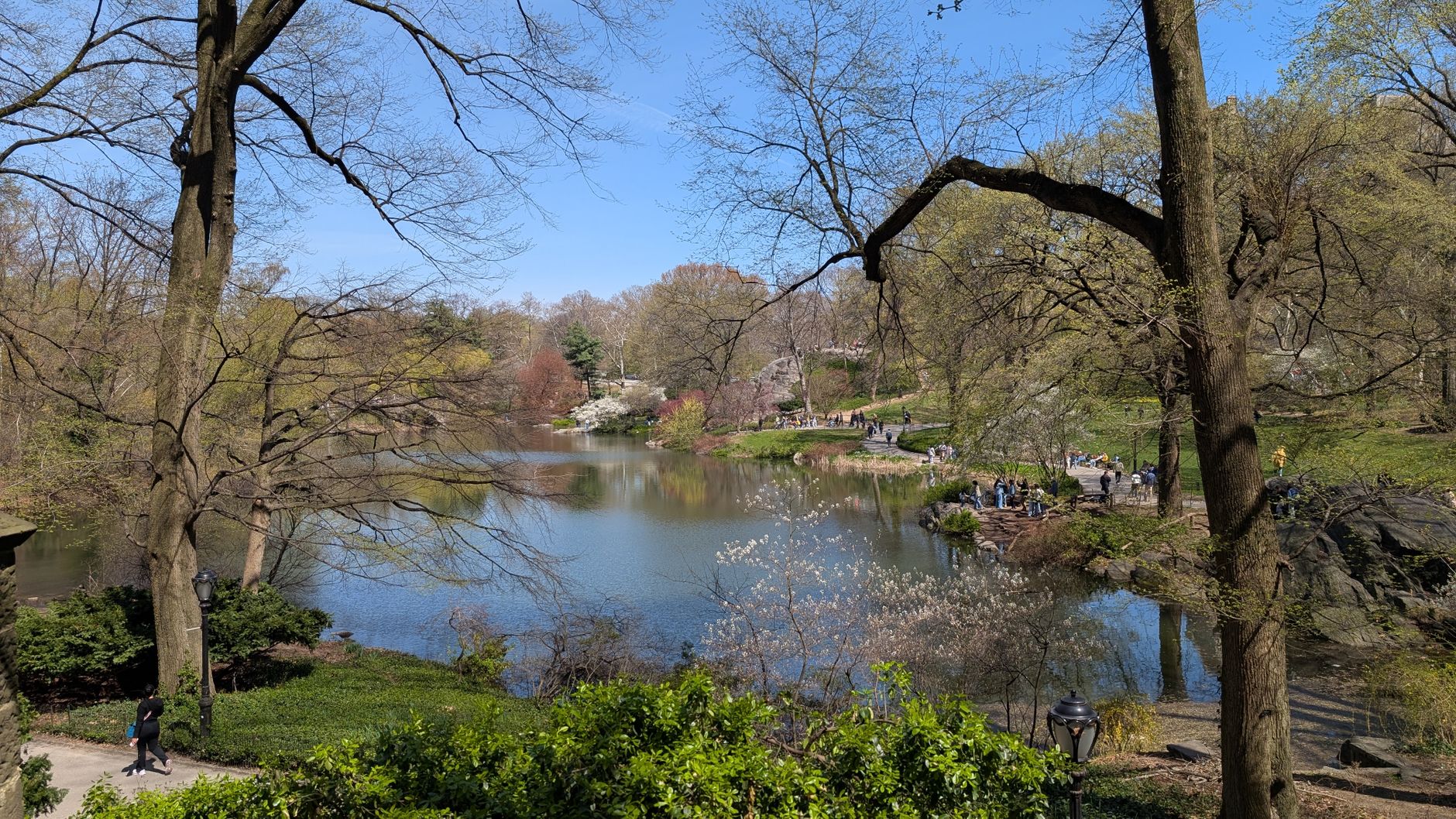 Central Park