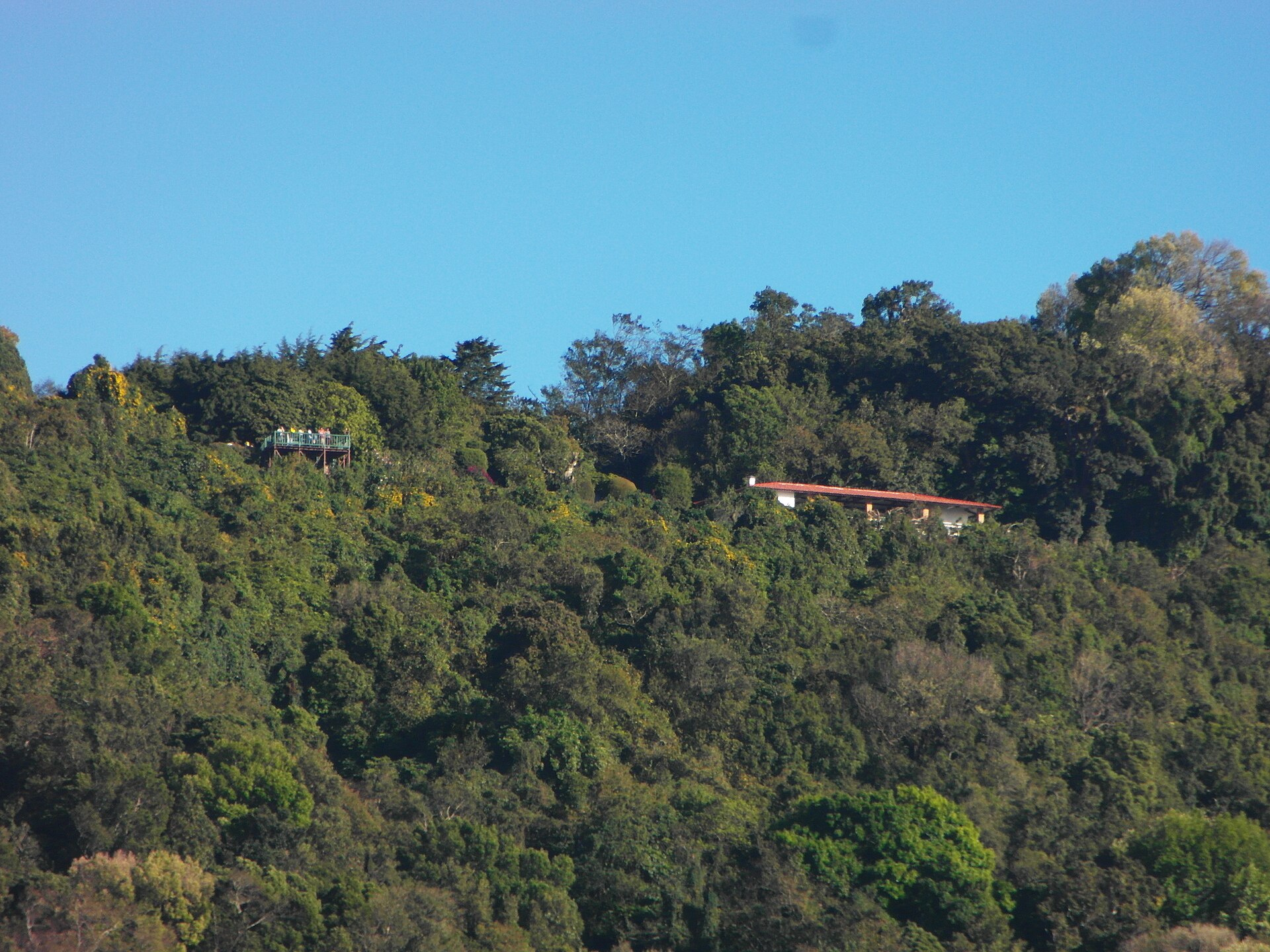 Cerro Verde