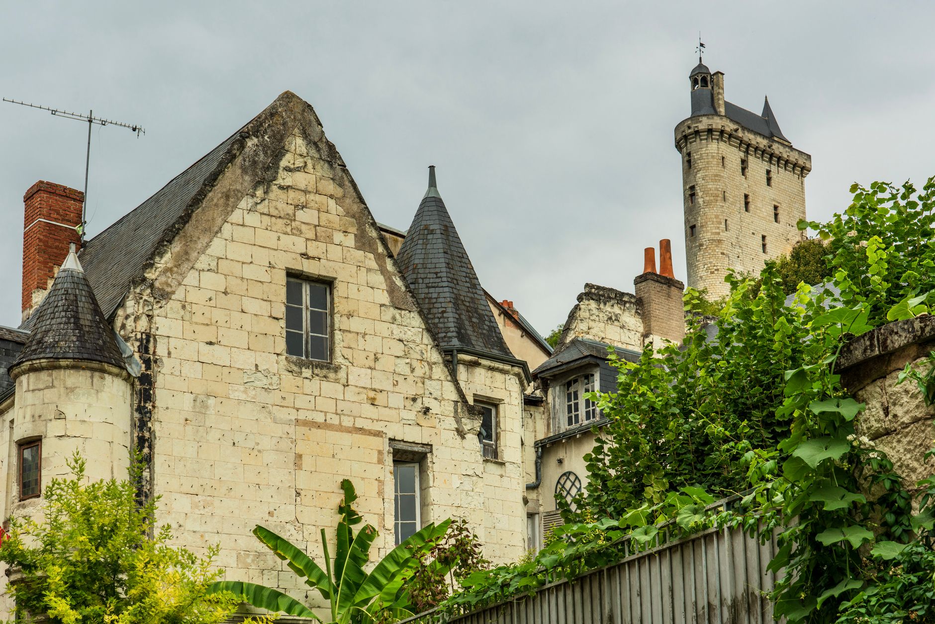 Chinon