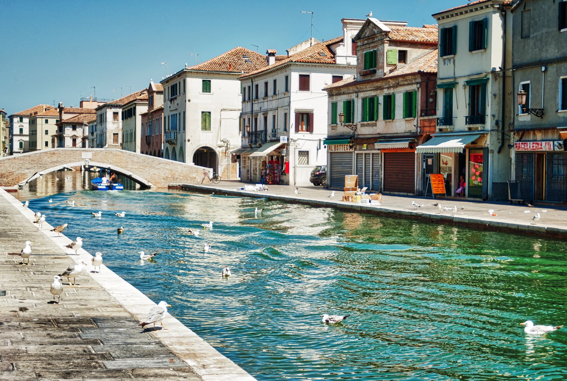 Chioggia