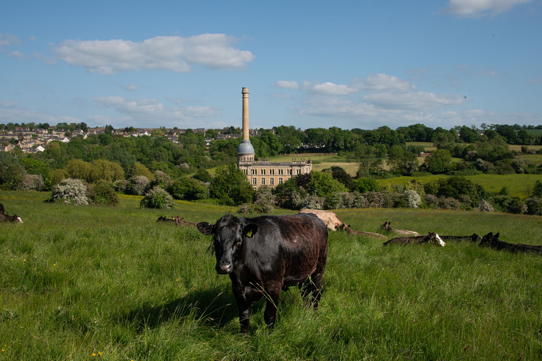 Chipping Norton