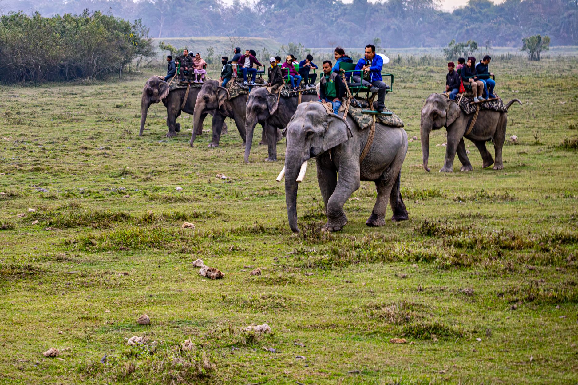 Chitwan National Park
