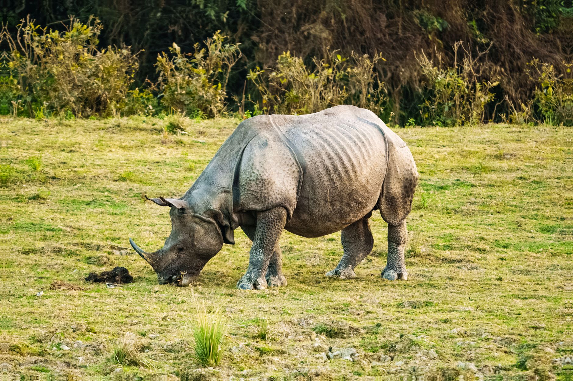 Chitwan National Park