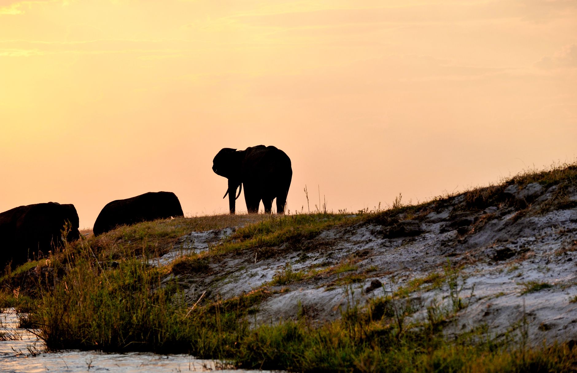 Chobe National Park