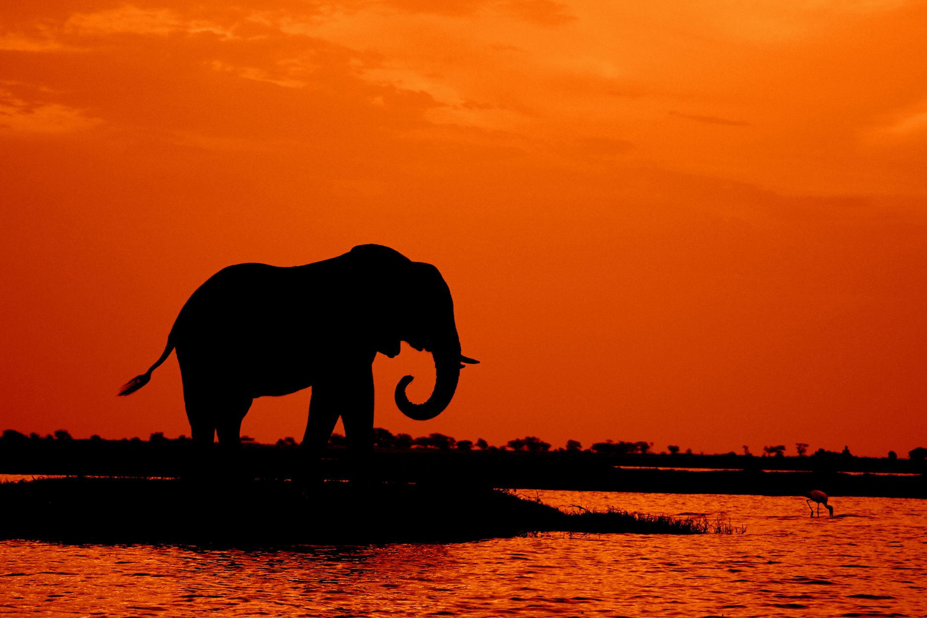 Chobe National Park