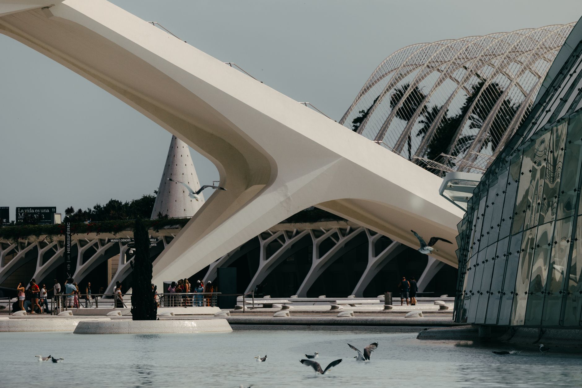 Ciudad de las Artes y las Ciencias