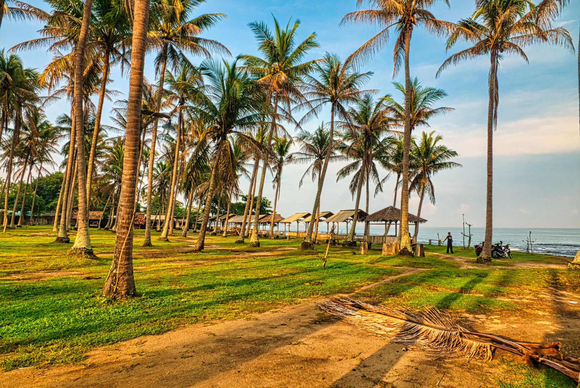 Coconut Grove