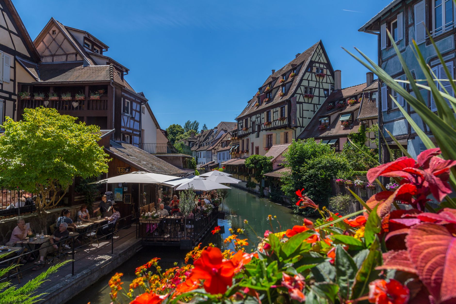 Colmar