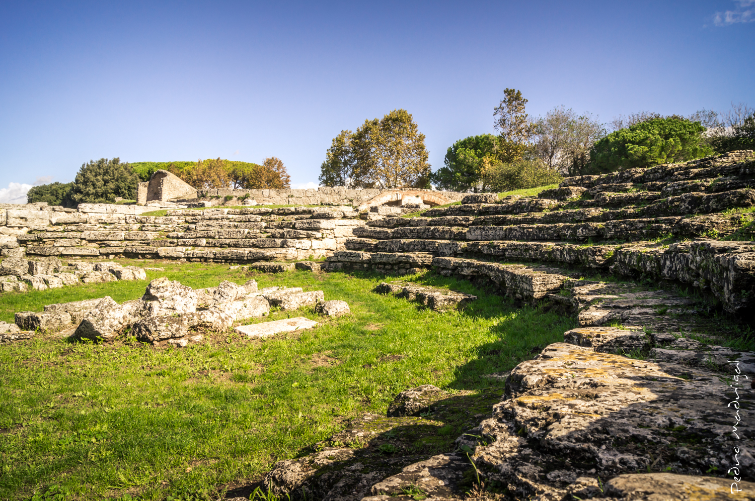Comitium of Paestum