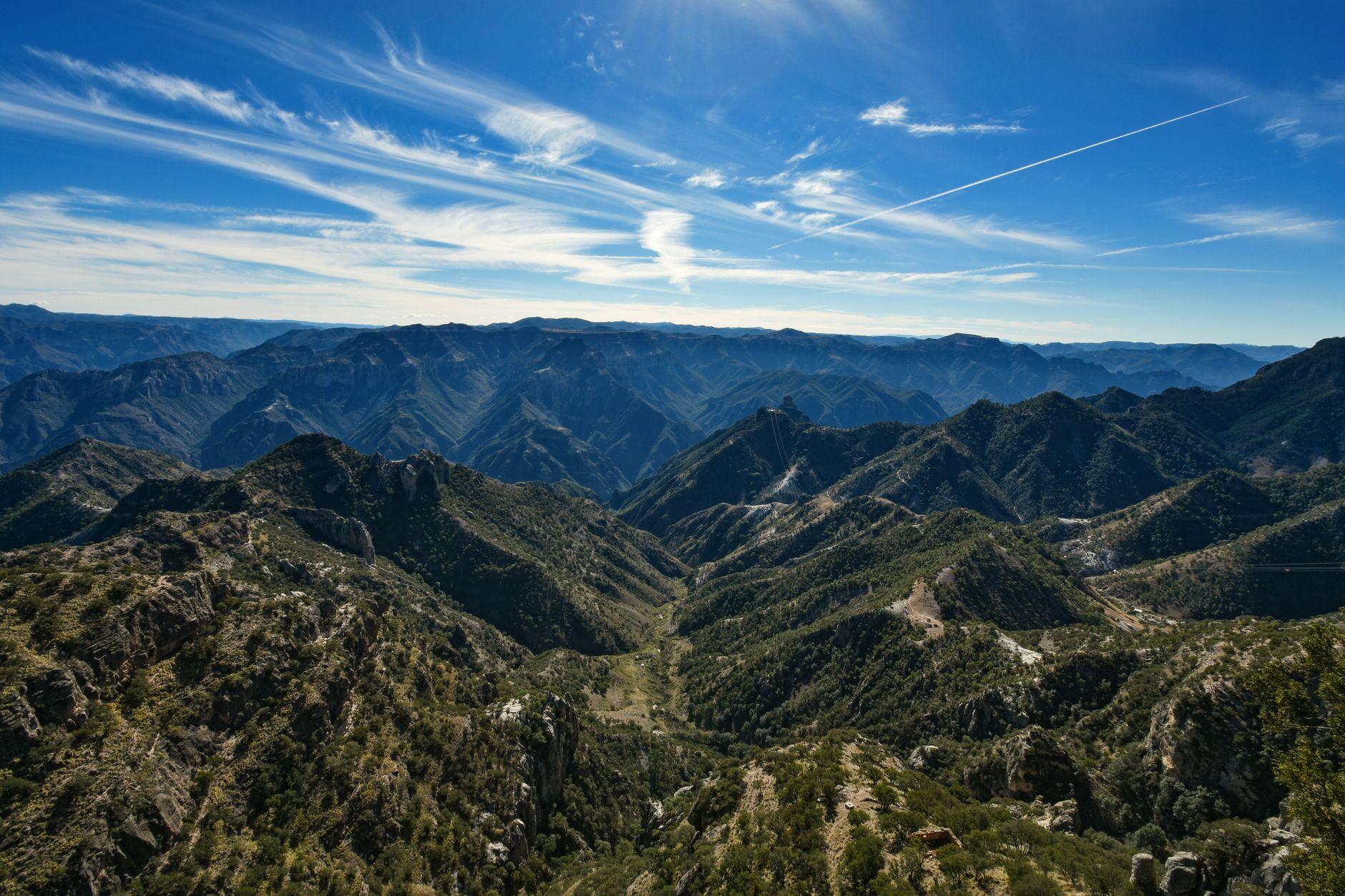 Copper Canyon (Barrancas del Cobre)