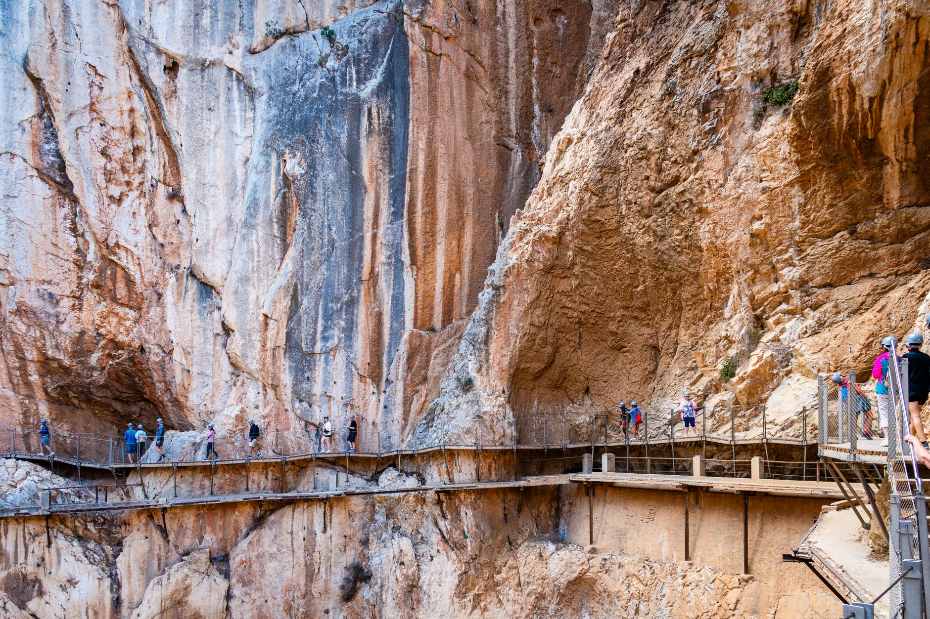 Copper Canyon (Barrancas del Cobre)