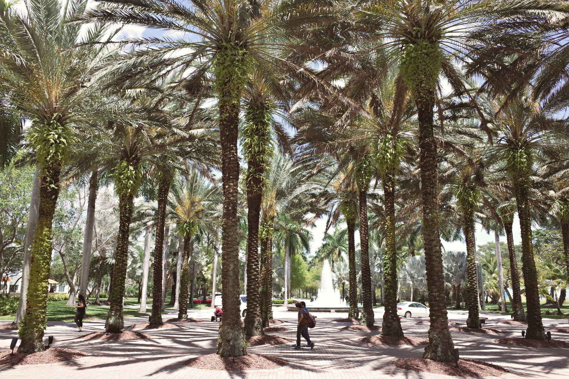 Coral Gables