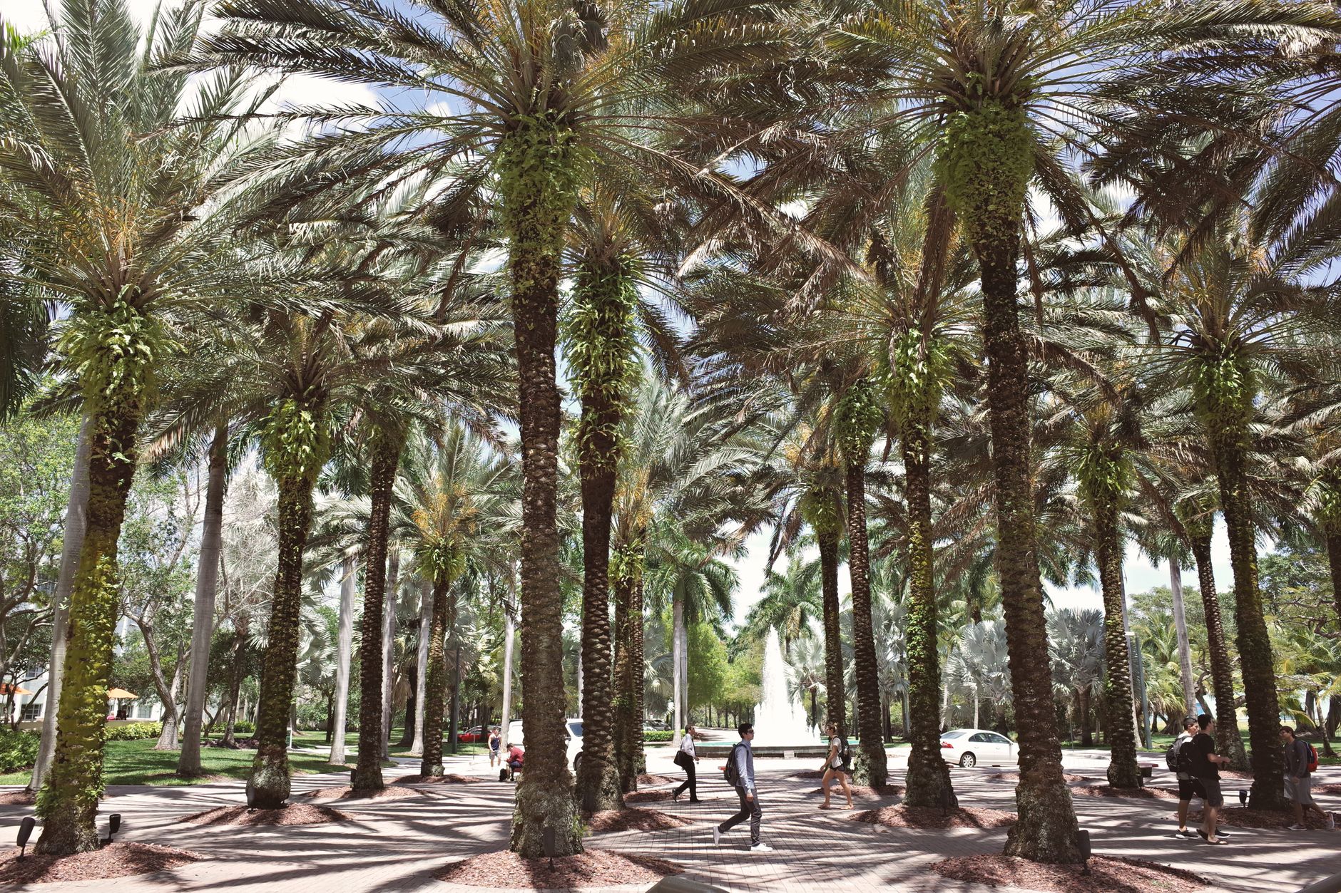 Coral Gables