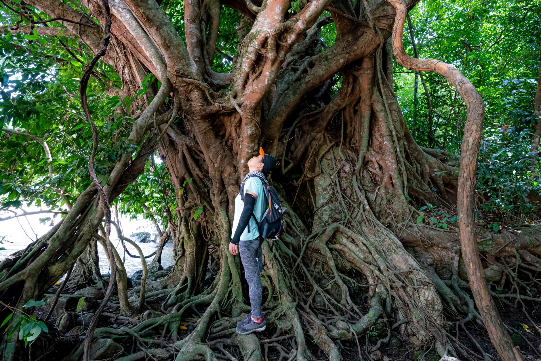 Corcovado National Park