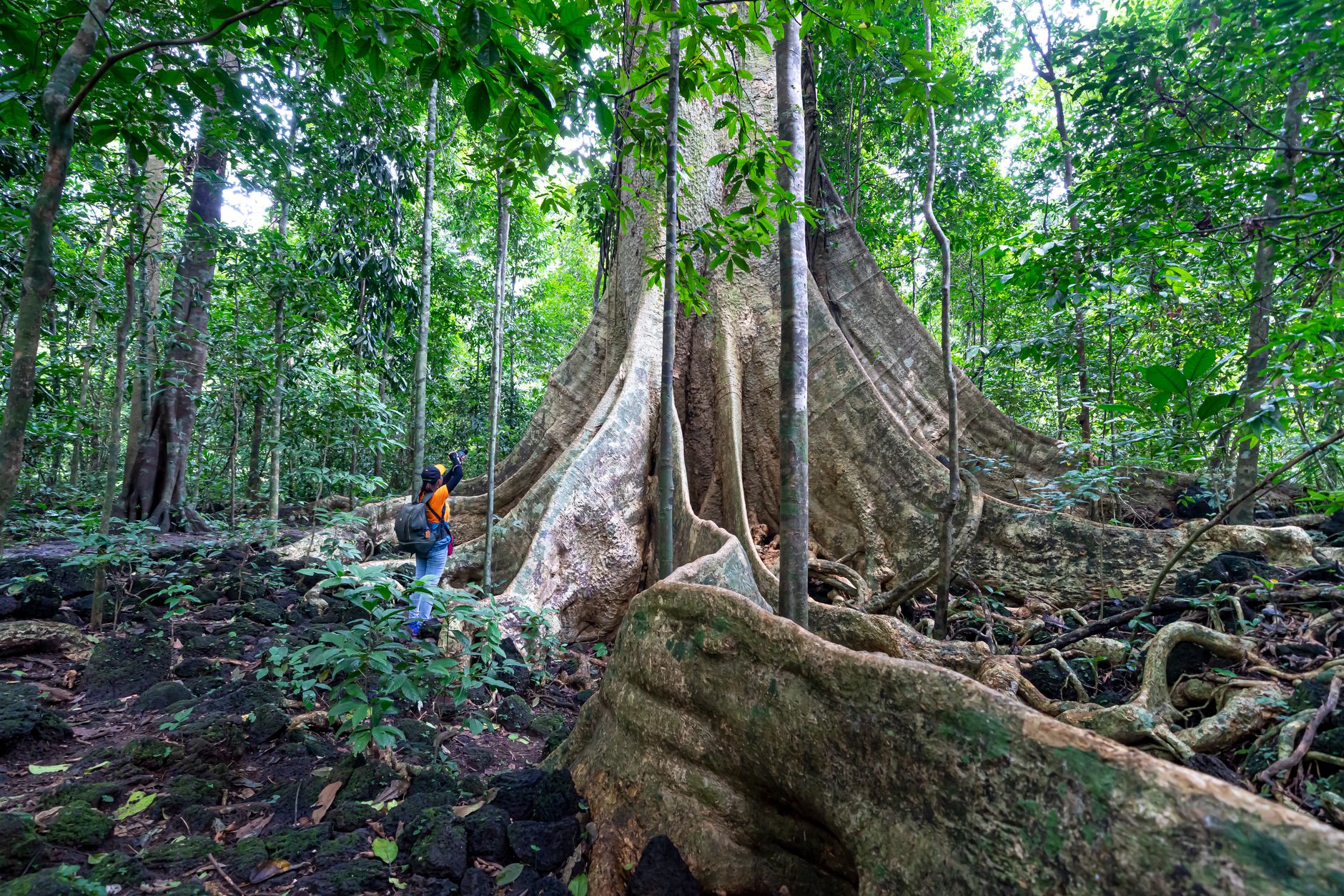 Corcovado National Park