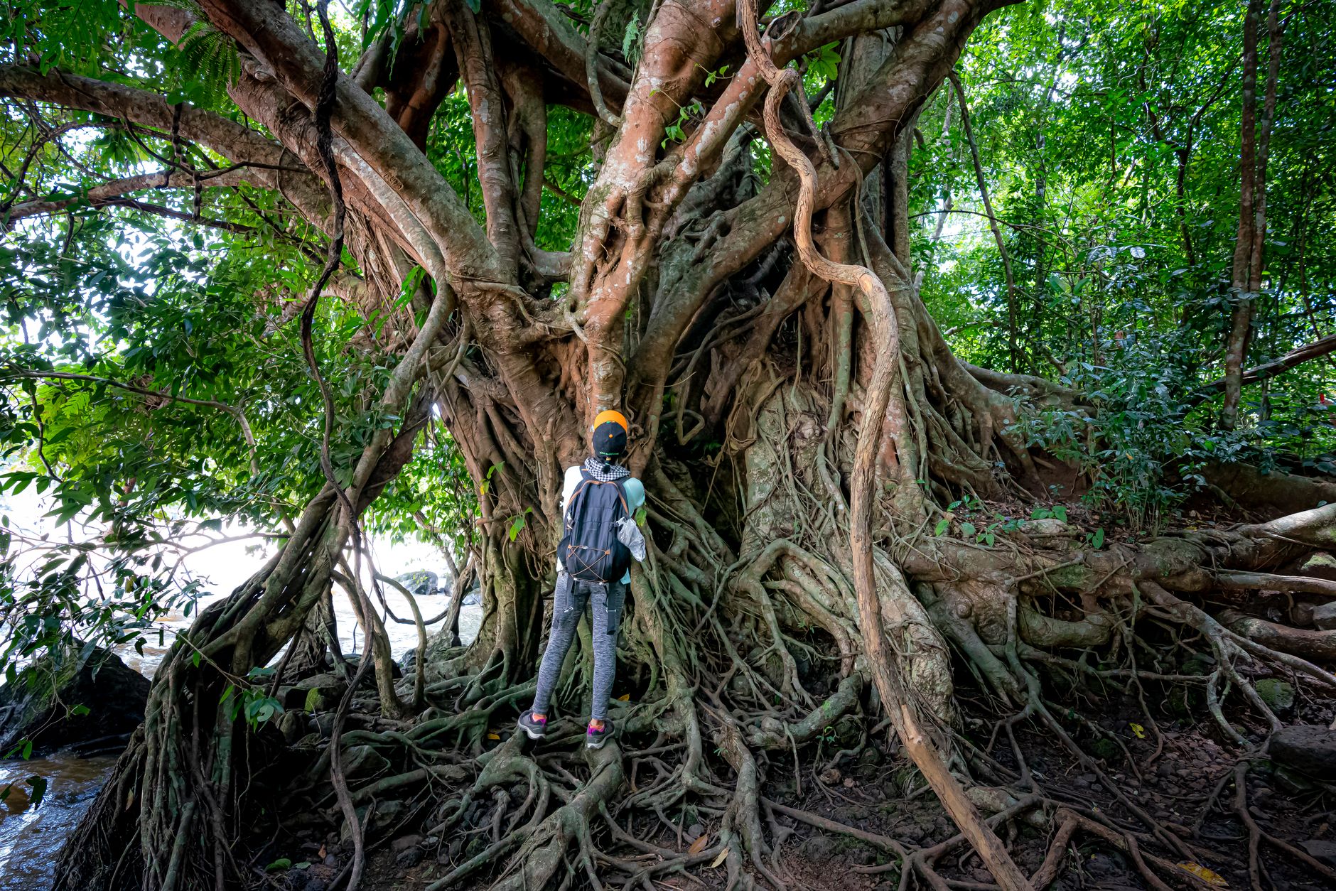 Corcovado National Park