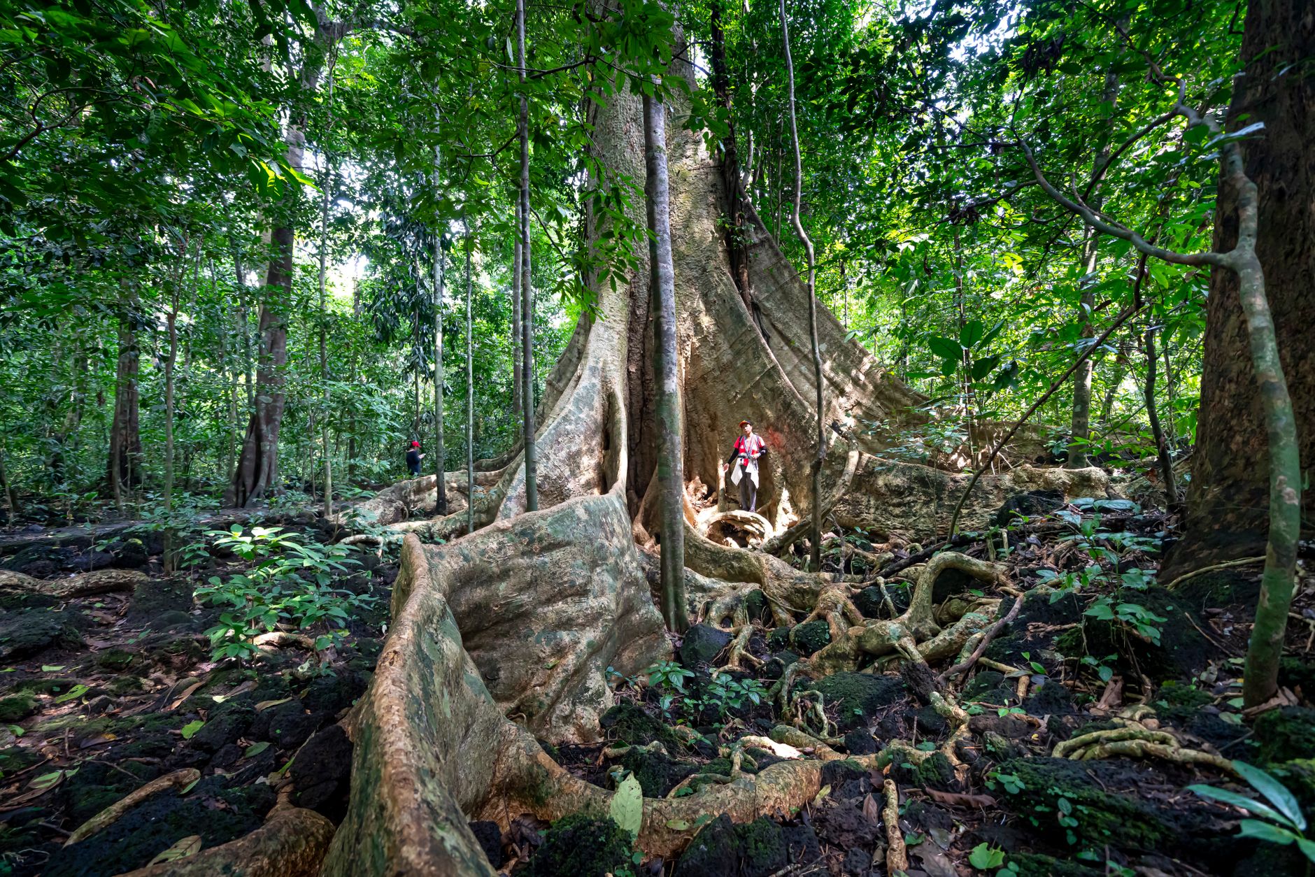 Corcovado National Park