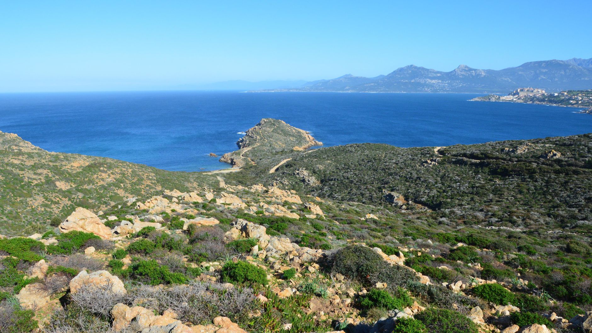 Corsica