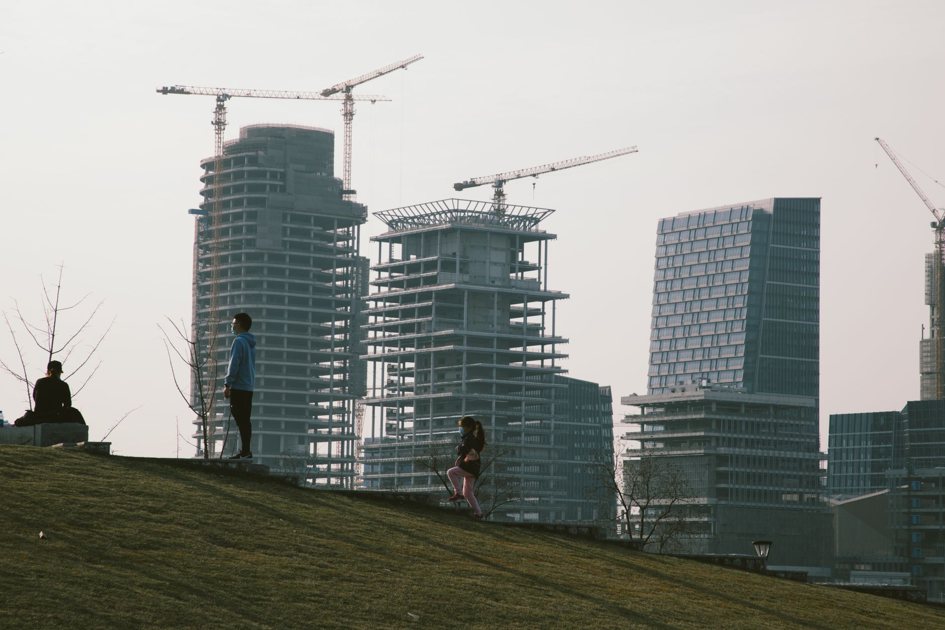 Crane