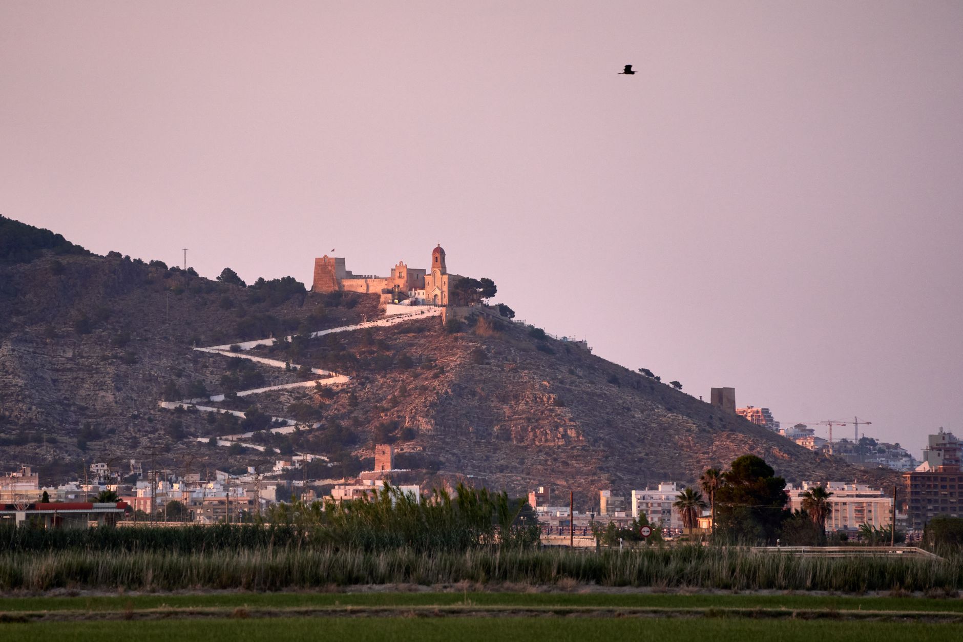 Cullera