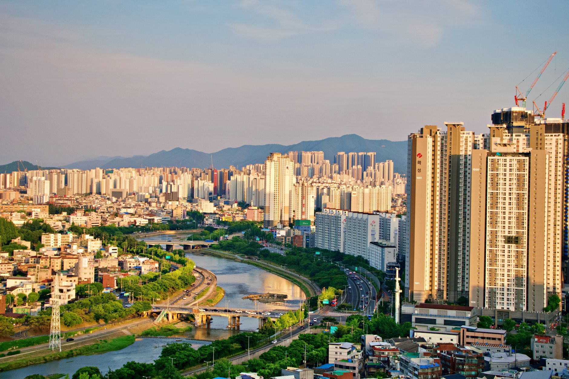 Daegu