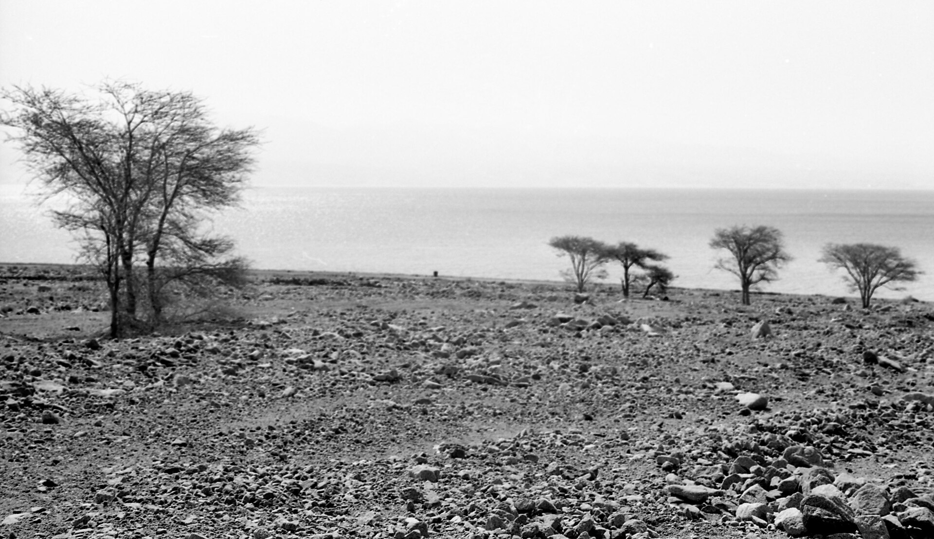 Dahab