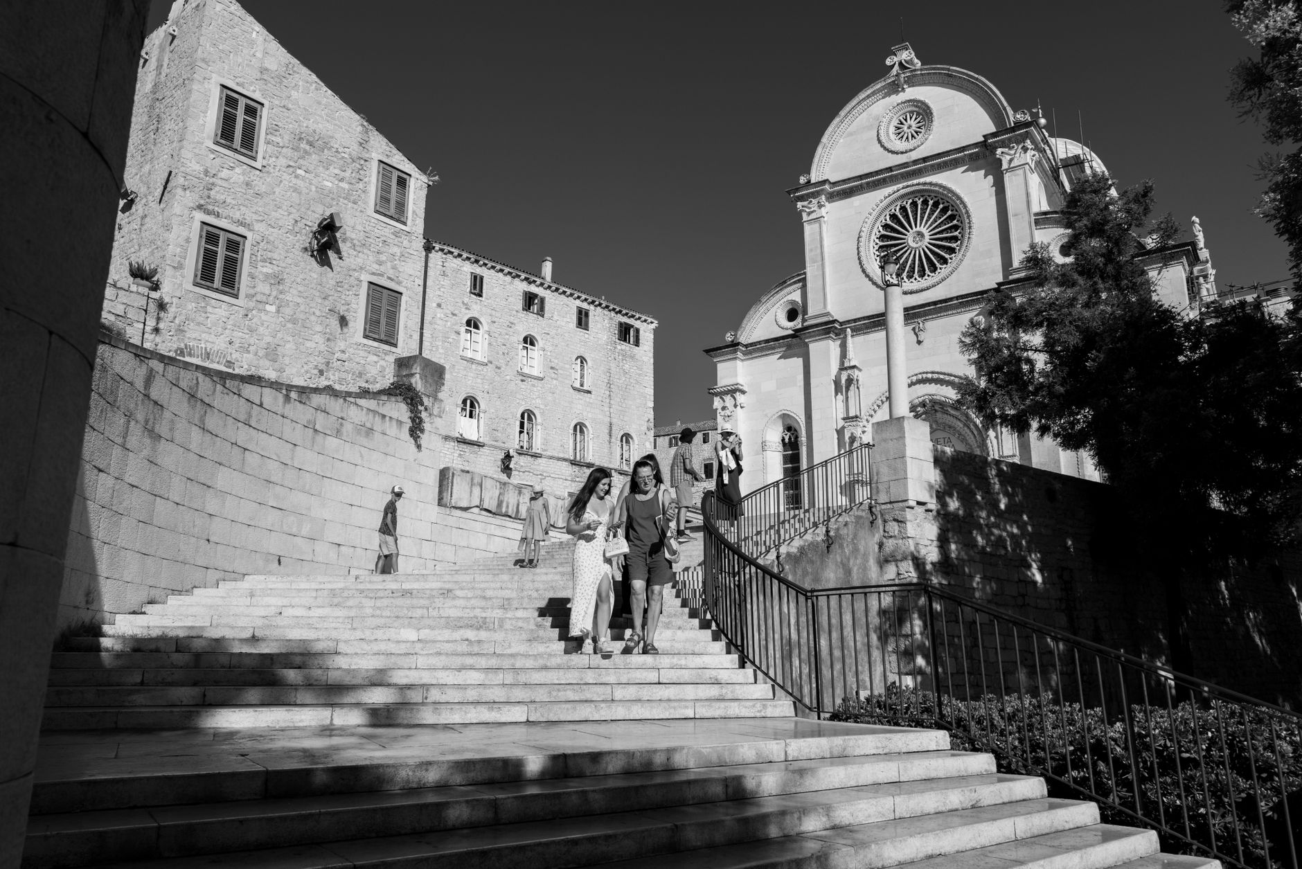 Dalmatian Coast