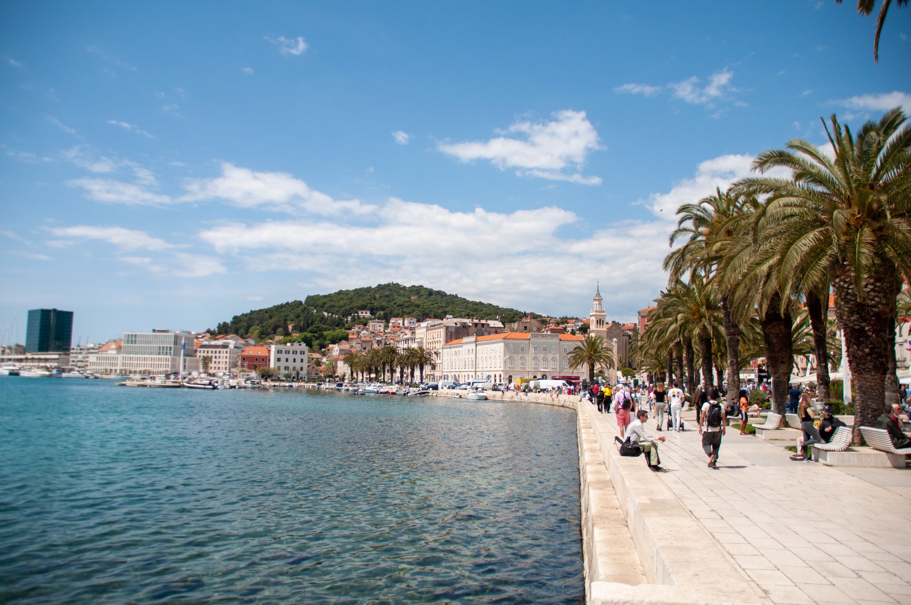 Dalmatian Coast