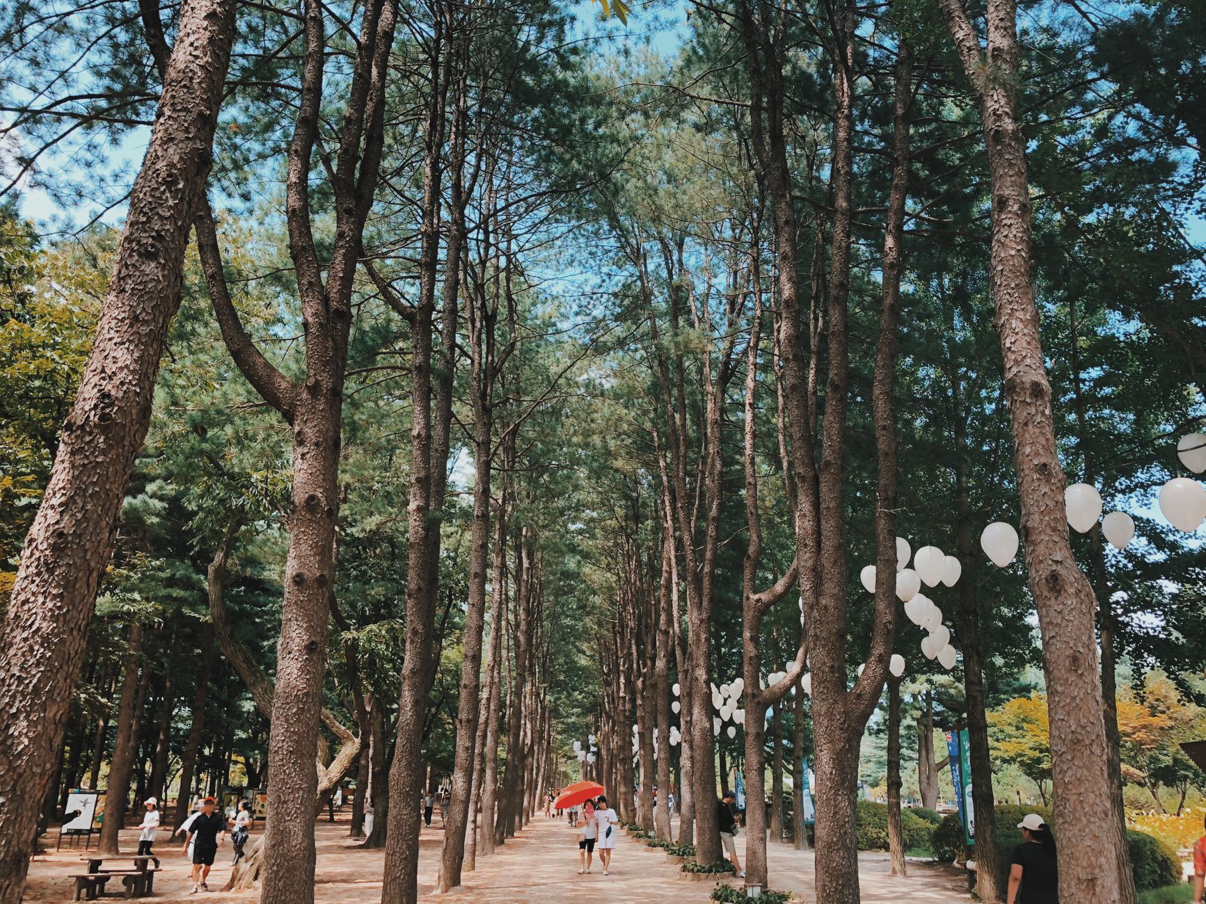 Damyang
