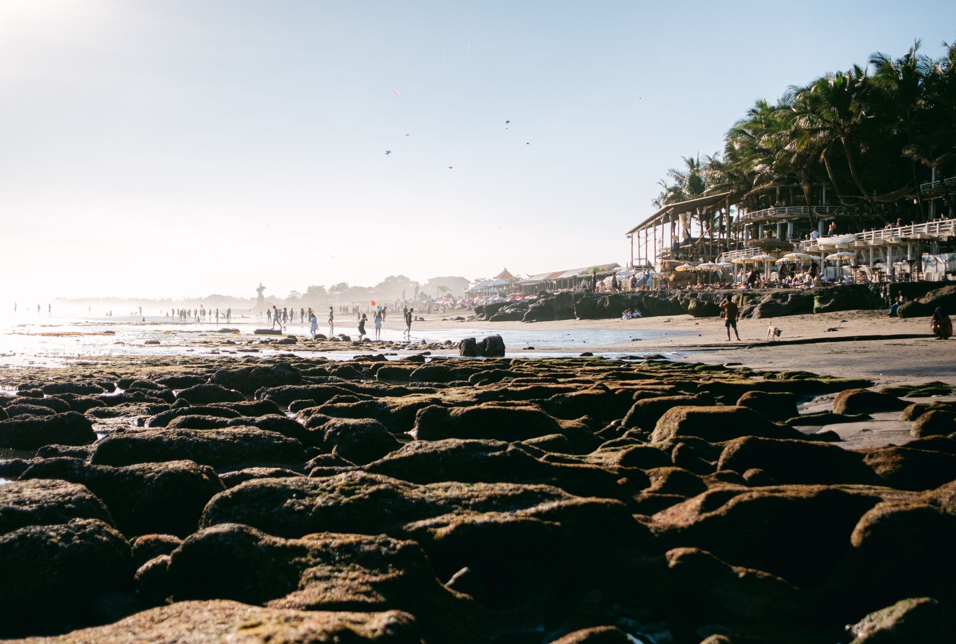 Dominical