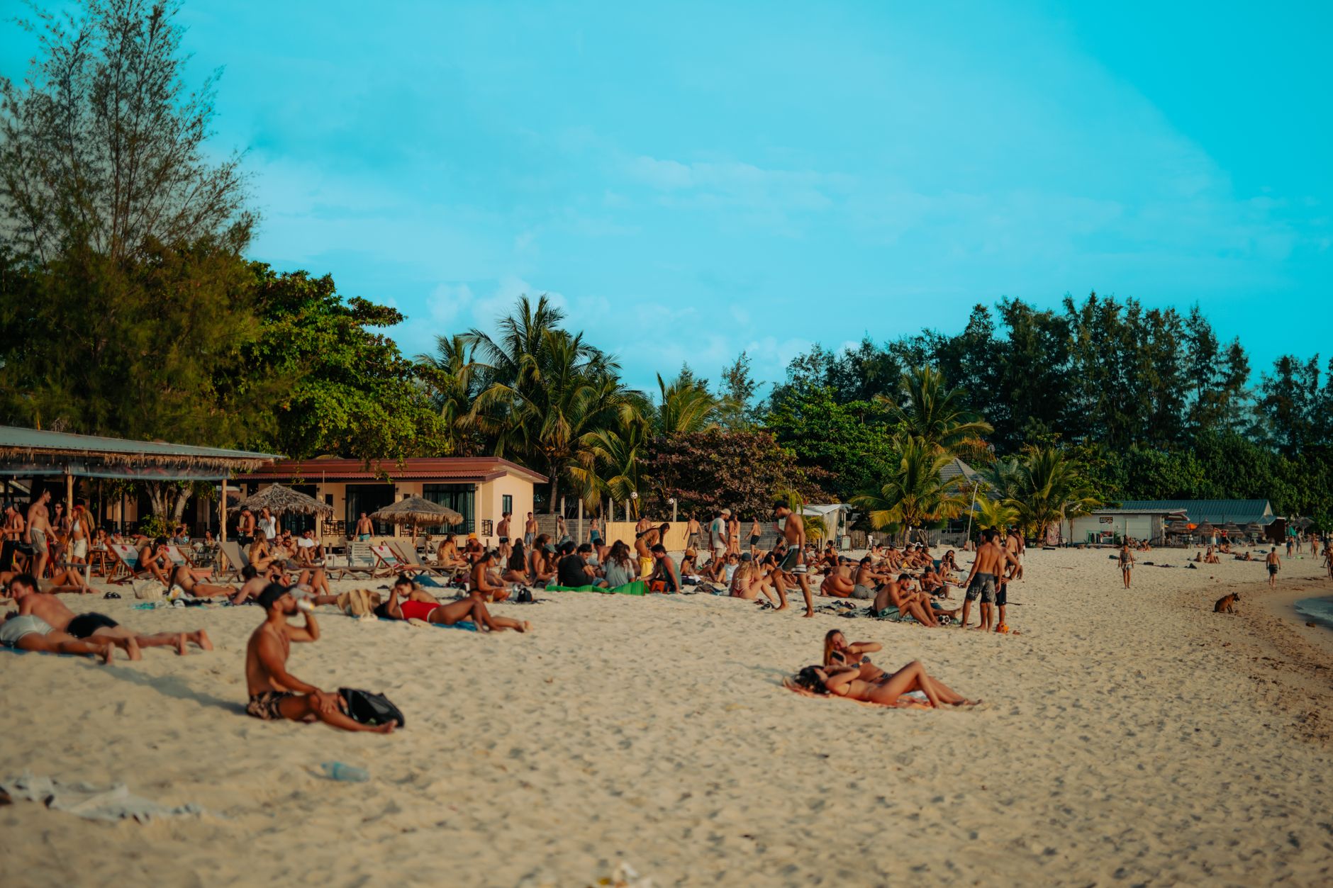 Dominical