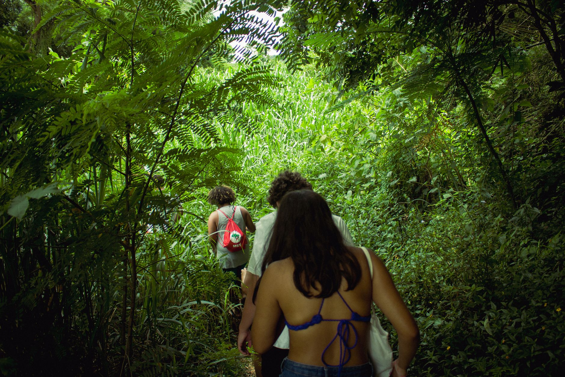 El Yunque National Forest