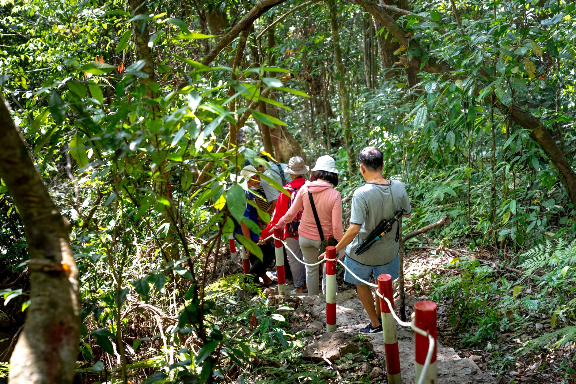 El Yunque National Forest