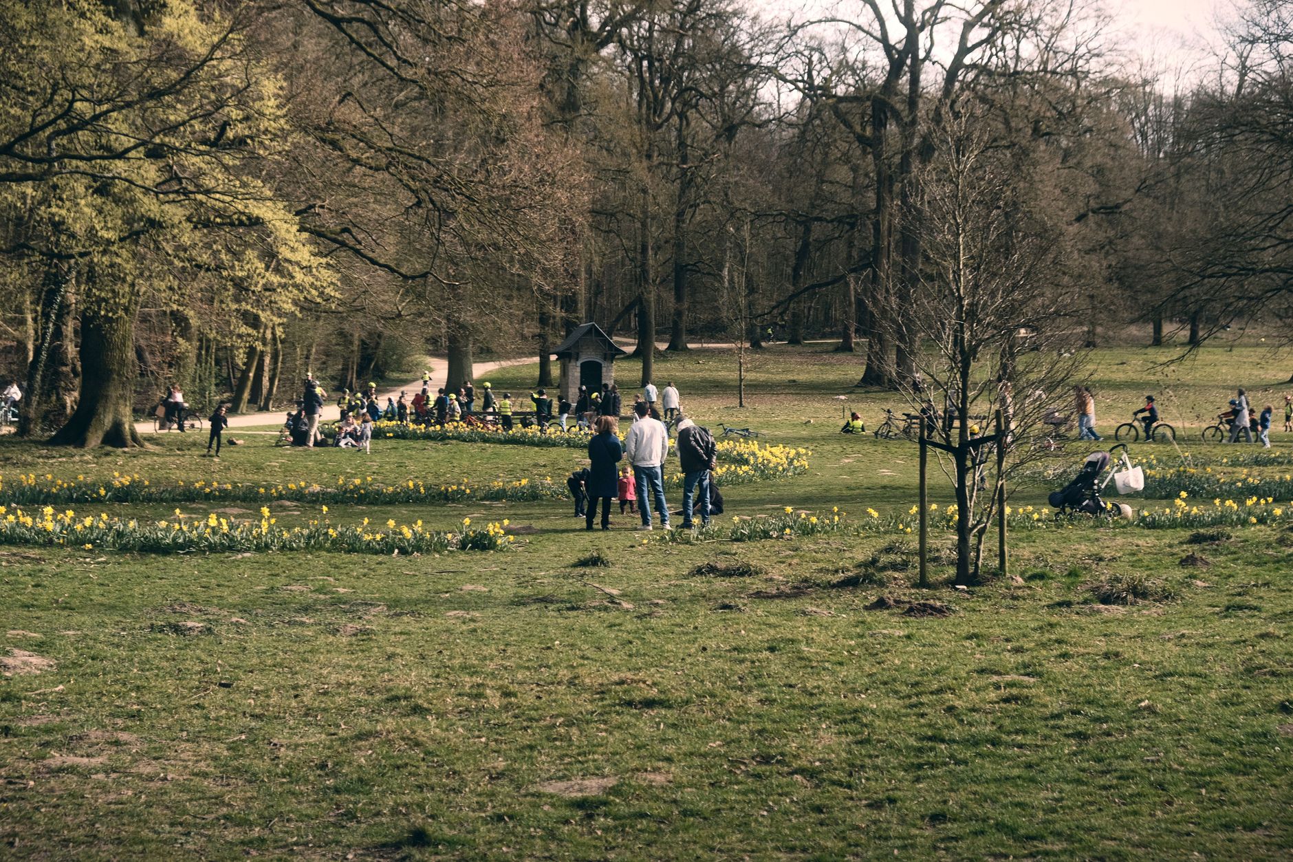Englischer Garten